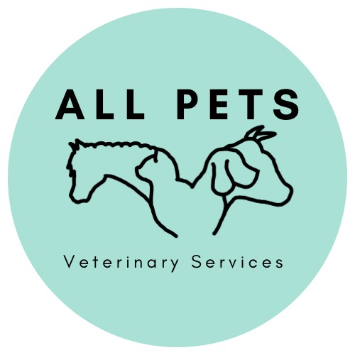 All Pets Medicine Surgery